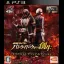 Kamen Rider: Battride War Genesis [Memorial TV Sound Edition] - Playstation 3 - Retrocharting