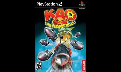 Kao the Kangaroo Round 2