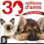 Let S Play Pet Hospitals 30 Millions D Amis - Nintendo DS - Retrocharting