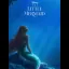 Little Mermaid - GameBoy - Retrocharting