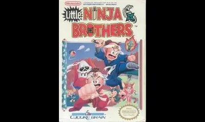 Little Ninja Brothers