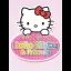 Loving Life with Hello Kitty & Friends - Nintendo DS - Retrocharting