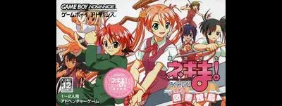 Mahou Sensei Negima! Private Lesson: Dame Desu Toshokan