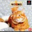 Mainichi Neko Youbi - PlayStation - Retrocharting