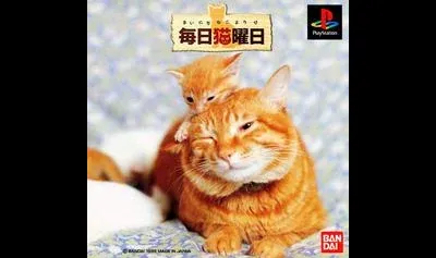 Mainichi Neko Youbi
