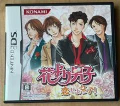 Background - Meteor Garden Boys Over Flowers - Nintendo DS - Retrocharting