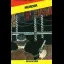 Murder - ZX Spectrum - Retrocharting
