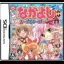 Nakayoshi All-Stars: Mezase Gakuen Idol - Nintendo DS - Retrocharting