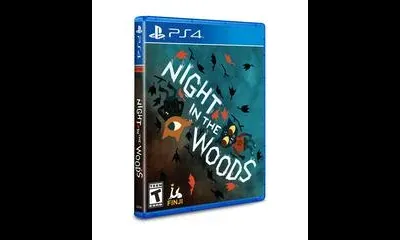 Night in the Woods