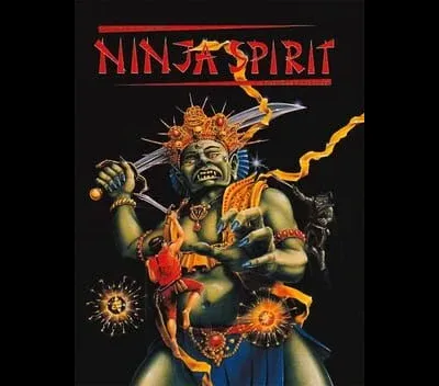 Ninja Spirit