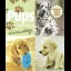 Nintendogs Companion - Strategy Guide - Retrocharting