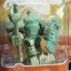 Patina High Volt - Skylanders - Retrocharting