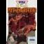 Pit Fighter - Sega Master System - Retrocharting
