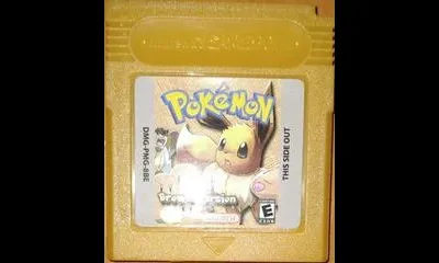 Pokemon Brown Version