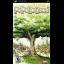 PoPoLoCrois - PSP - Retrocharting