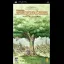 PopoloCrois Story: Adventure of Prince Pietro - PSP - Retrocharting