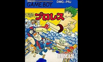 Pro Wrestling