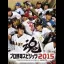Pro Yakyuu Spirits 2015 - Playstation Vita - Retrocharting