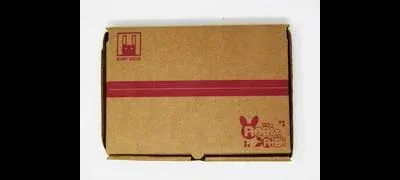 Rabi Ribi Bunny Bundle