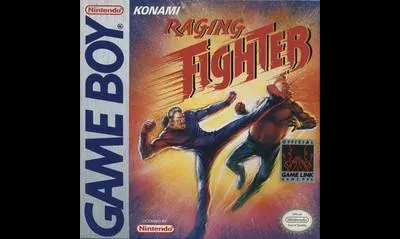 Raging Fighter