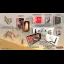 Raji: An Ancient Epic [Collector's Edition] - Nintendo Switch - Retrocharting