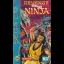 Revenge of the Ninja - Sega CD - Retrocharting