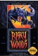 Background - Risky Woods - Nintendo DS - Retrocharting