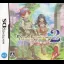 Rune Factory 2 - Nintendo DS - Retrocharting