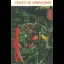 Senda Salvaje - ZX Spectrum - Retrocharting