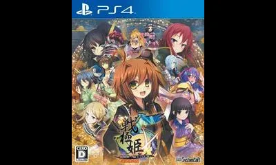 Sengoku Hime 5