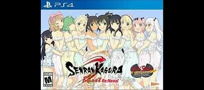 Senran Kagura Burst Re:Newal [At The Seams Edition]