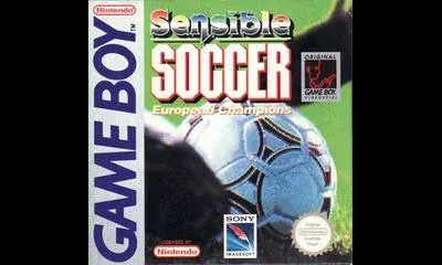 Sensible Soccer European Champions