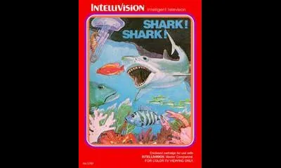 Shark Shark