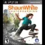 Shaun White Skateboarding - PlayStation 2 - Retrocharting