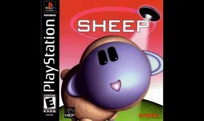 Sheep