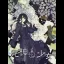 Shinigami To Shoujo - Playstation Vita - Retrocharting