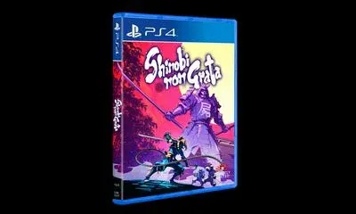 Shinobi Non Grata