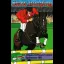 Show Jumping - ZX Spectrum - Retrocharting