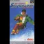 Ski Paradise with Snowboard - Famicom - Retrocharting