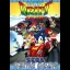 Sonic Drift Racing - Sega Game Gear - Retrocharting