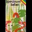 Spectrum Safari - ZX Spectrum - Retrocharting