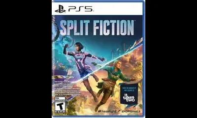 Split Fiction