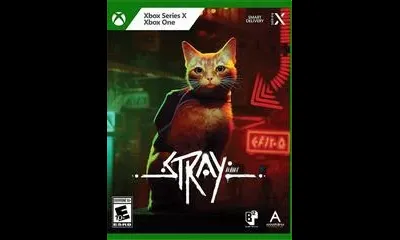 Stray