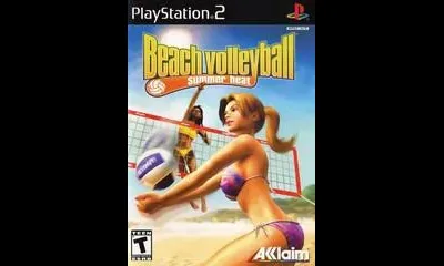 Summer Heat Beach Volleyball