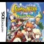 Summon Night Twin Age - Nintendo DS - Retrocharting