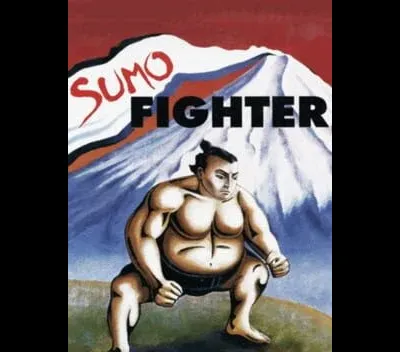 Sumo Fighter