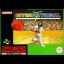 Super International Cricket - Super Nintendo - Retrocharting
