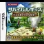 Survival Kids: The Big Secret Of A Small Island - Nintendo DS - Retrocharting