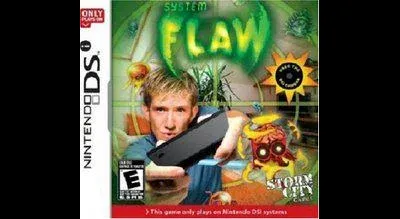 System Flaw