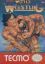 Tecmo World Wrestling